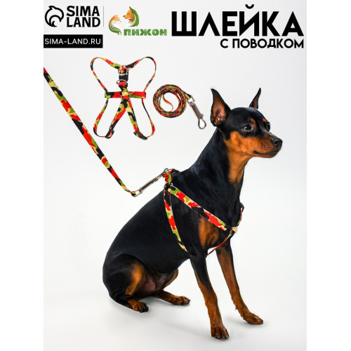 Комплект «Камуфляж», ОШ 16.5-27, ОГ 21-35 см, 120×1 см, капрон, красно-чёрно-зеленый Пижон