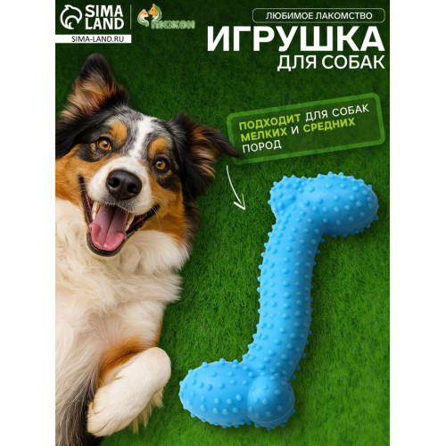Игрушка жевательная «Любимое лакомство», TPR, 11×4 см, голубая Пижон