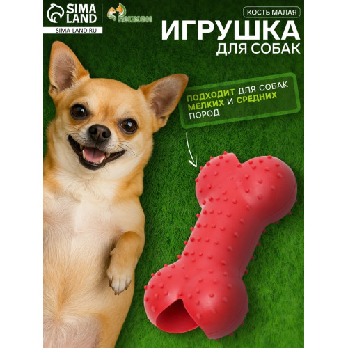 Игрушка жевательная «Кость малая», TPR, 8.5 см, красная Пижон
