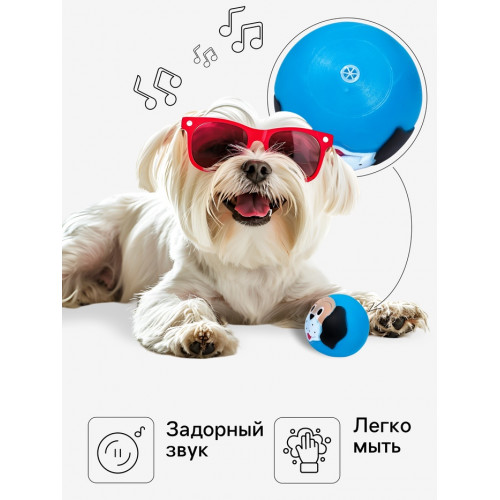 Игрушка пищащая «Песик» для собак, 7 см, синяя Пижон