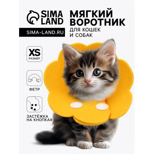 Ветеринарный воротник из фетра «Ромашка», размер XS, жёлтый Пижон