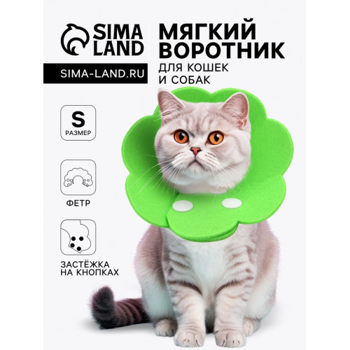 Ветеринарный воротник из фетра «Ромашка», размер S, зелёный Пижон