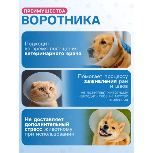 Ветеринарный воротник с креплением на ошейник, высота 10 см (без ошейника) Пижон