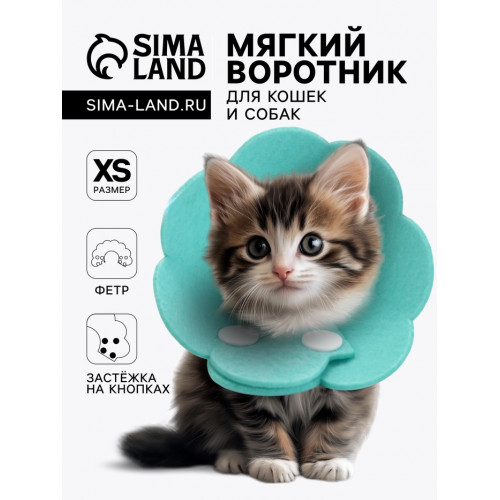 Ветеринарный воротник из фетра «Ромашка», размер XS, бирюзовый Пижон