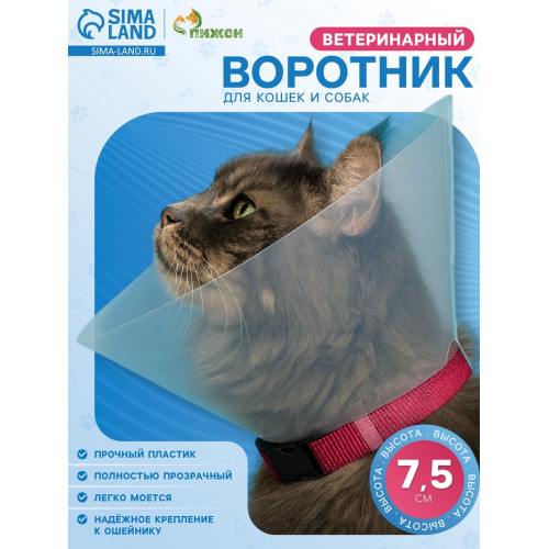 Ветеринарный воротник с креплением на ошейник, высота 7.5 см (без ошейника) Пижон