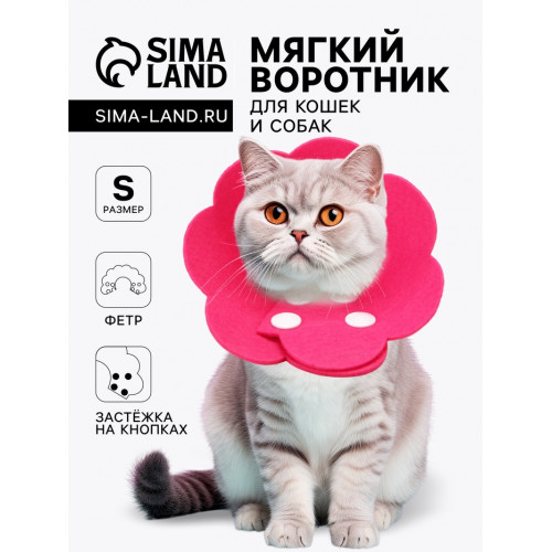 Ветеринарный воротник из фетра «Ромашка», размер S, фуксия Пижон